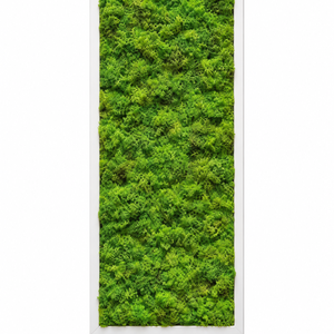 Tablou din licheni stabilizati si muschi plat 70x30 cm - casă & stil de viață - decorațiuni de casă - decorațiuni de pereți - tablou cu licheni - Artynos.ro