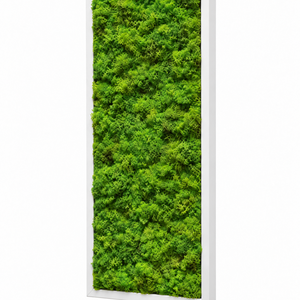Tablou din licheni stabilizati si muschi plat 70x30 cm - casă & stil de viață - decorațiuni de casă - decorațiuni de pereți - tablou cu licheni - Artynos.ro