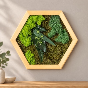 Hexagon vegetal cu licheni, muschi si frunze stabilizate, 30�25 cm - Artynos.ro