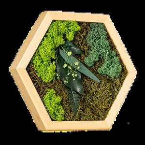 Hexagon vegetal cu licheni, mușchi și frunze stabilizate, 30�25 cm - casă & stil de viață - decorațiuni de casă - decorațiuni de pereți - tablou cu licheni - Artynos.ro