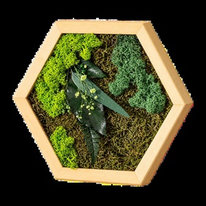 Hexagon vegetal cu licheni, mușchi și frunze stabilizate, 30�25 cm - casă & stil de viață - decorațiuni de casă - decorațiuni de pereți - tablou cu licheni - Artynos.ro