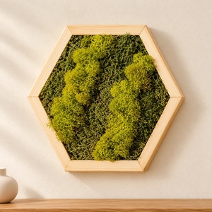 Hexagon din licheni in verde olive si muschi plat, 30�25 cm - Artynos.ro