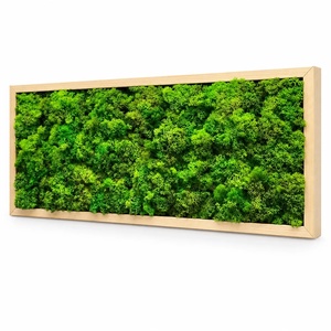 Tablou orizontal cu licheni în ramă natur, model 3269, 70�30 cm - casă & stil de viață - decorațiuni de casă - decorațiuni de pereți - tablou cu licheni - Artynos.ro
