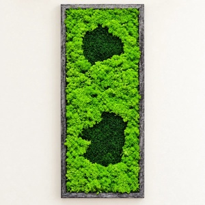 Tablou cu licheni si doua motive verde inchis, rama gri, 70�30 cm, Casa & Stil de viata, Decoratiuni de casa, Decoratiuni de pereti, Tablou cu licheni, , ARTYNOS