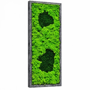 Tablou cu licheni și două motive verde închis, ramă gri, 70�30 cm - casă & stil de viață - decorațiuni de casă - decorațiuni de pereți - tablou cu licheni - Artynos.ro