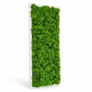 Tablou vertical cu licheni pe suport alb, model 3266, 70�30 cm - casă & stil de viață - decorațiuni de casă - decorațiuni de pereți - tablou cu licheni - Artynos.ro