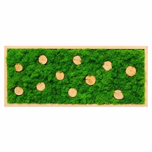 Tablou cu licheni și 11 rondele din lemn, 70�30 cm - casă & stil de viață - decorațiuni de casă - decorațiuni de pereți - tablou cu licheni - Artynos.ro