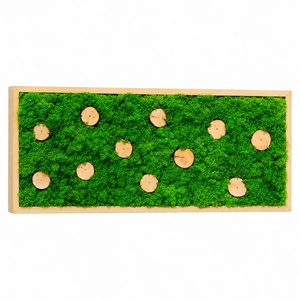 Tablou cu licheni și 11 rondele din lemn, 70�30 cm - casă & stil de viață - decorațiuni de casă - decorațiuni de pereți - tablou cu licheni - Artynos.ro