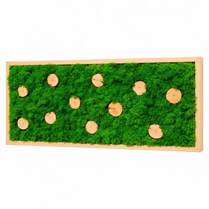 Tablou cu licheni și 11 rondele din lemn, 70�30 cm - casă & stil de viață - decorațiuni de casă - decorațiuni de pereți - tablou cu licheni - Artynos.ro