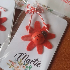 Martisoare buburuza handmade  - bijuterii - mărțișor - Artynos.ro