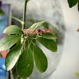 Esența Feminității: Choker Celestial cu Ochi de Soim  și Simbolul Lunii  - bijuterii - coliere - chockere - Artynos.ro