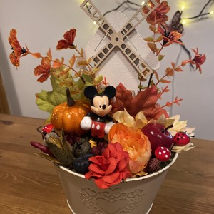  Disney Mickey Toamna masa dis -  - Artynos.ro