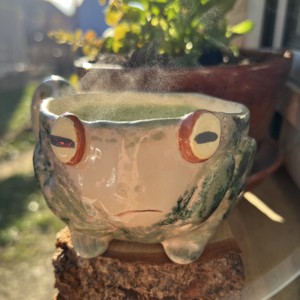 Cană cu broască fericită Sleepy frog - cadou perfect, aproximativ 250 ml - casă & stil de viață - accesorii pentru echipamente de bucătărie - accesorii de servire - căni - Artynos.ro