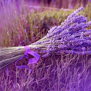 Lavanda din perle (1 fir) GYV01-3-25 - casă & stil de viață - accesorii pentru decorat casa - decorațiuni de masă și decorațiuni pentru rafturi  - copac cu mărgele, copac de sârmă, copac mineral - Artynos.ro