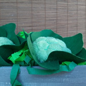 Feluri de mâncare cu file - Broccoli -  - Artynos.ro
