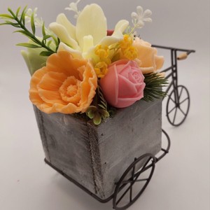 Soap blossoms pe o bicicletă 2 -  - Artynos.ro
