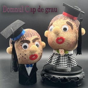 Domnul Cap de Grau- scolar, popular, cowboy - Artynos.ro