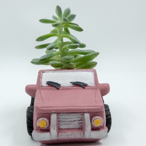 Camion de beton, camion de beton mauve suport pentru flori cu pictură personalizată -  - Artynos.ro