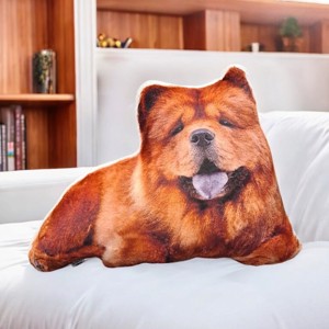 Perna preferata - caine, perna pentru animale, , , ARTYNOS