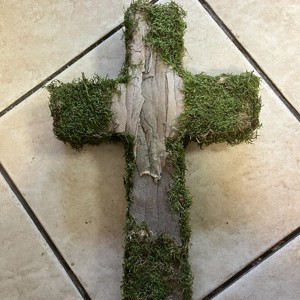 Moss cruce -  - Artynos.ro
