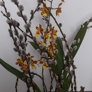 Aranjament floral - casă & stil de viață - accesorii pentru decorat casa - suport de flori - accesorii florale - Artynos.ro