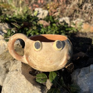 Cană cu broască fericită - cadou perfect, aproximativ 300 ml - casă & stil de viață - accesorii pentru echipamente de bucătărie - accesorii de servire - căni - Artynos.ro