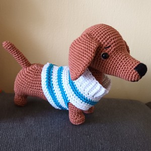 Dachshund in pulover, , , ARTYNOS