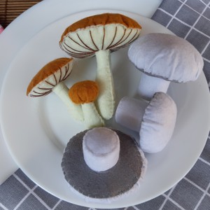 Pachet de ciuperci, , , Legume - fructe - alimente realizate din pasla. Jocuri de rol, bucatarii pentru copii
o completare ..., ARTYNOS