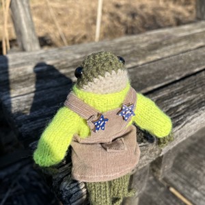 Broasca premium lucrata manual in rochie de catifea - Vine cu ambalaj decorativ. Jucarie cu design unic, , , Nu este doar o jucarie, este un companion facut cu inima si suflet, folosind materiale de calitate...., ARTYNOS