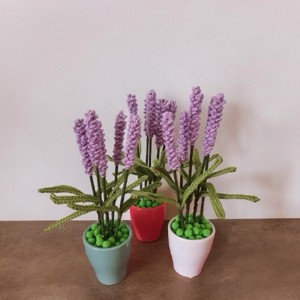 Lavanda crosetata, Casa & Stil de viata, Decoratiuni de casa, Accesorii florale, Flori in ghiveci, , ARTYNOS