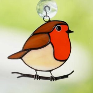 Mica robin in fereastra, , , ARTYNOS