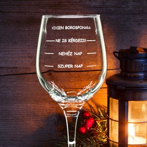 Pahar gravat de Craciun cu inscriptie amuzanta, , , ARTYNOS
