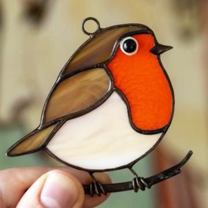 Mica robin în fereastră -  - Artynos.ro