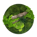 Narium