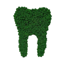 Narium