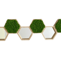 Hexagoane din licheni 25�25 cm Set - Artynos.ro