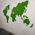 Harta lumii din licheni 90�54 cm - Artynos.ro
