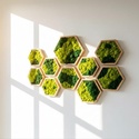 Hexagon cu licheni 25 cm - Artynos.ro