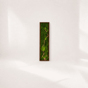 Tablou cu licheni stabilizati Aurea, 100 � 30 cm � decor vertical cu rama maro - Artynos.ro