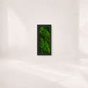 Tablou cu licheni stabilizati Folium, 60 � 30 cm � decor vegetal cu rama neagra - Artynos.ro